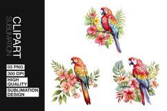 Parrot Floral Art Clipart PNG Product Image 1