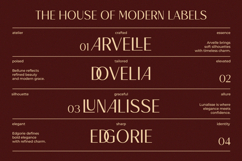 Bacher - Ligature Elegant Sans Font Product Image 6