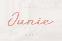 Everly Sign Handwritten Signature Font Product Image 6