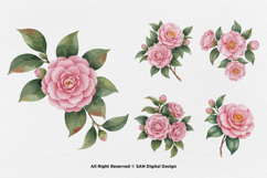 15 Bundle Watercolor Camelia Flower Pink Botanical Japanese Product Image 6