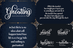 Exclusive Best Font Bundle Product Image 6