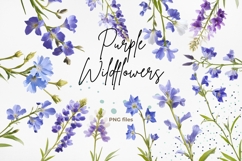 Purple Wildflowers PNG Product Image 1