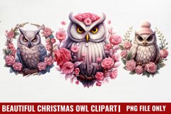 Beautiful Christmas Set Clipart Product Image 1