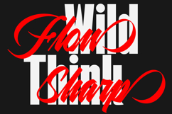 Racik | Font Duo Product Image 6