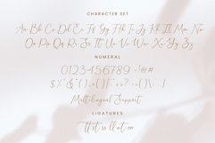 Denara Product Image 6