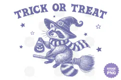 Vintage Funny Sarcastic Feral Witch Raccoon Halloween PNG Product Image 1