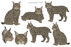 European wild cats clipart Product Image 3