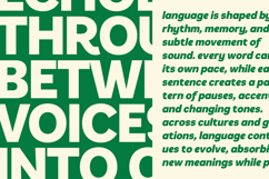 Armonia Forte Bold Italic Display Font Product Image 6
