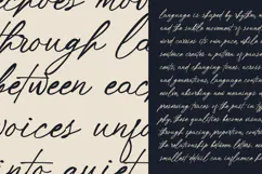 Rhyne Contemporary Signature Script Font Product Image 6