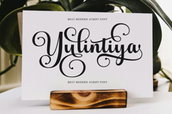 Andelintia - Family Font In 67 Styles Product Image 6