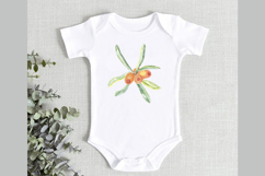 Sea Buckthorn Watercolor Clipart Hand Drawn Berries Product Image 6