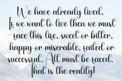 Rabbit Product Image 6