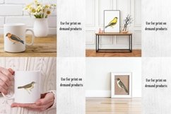 Vintage Birds, Antique Birds Clipart Product Image 6