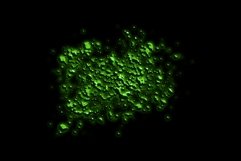 Neon Spray Product Image 6