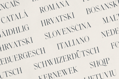 Zyntro Elegant High-Contrast Serif Product Image 6