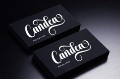 Sophia - Family Font In 60 Type Product Image 6