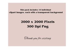 Floral Fairy House Clipart Png Bundle Product Image 6
