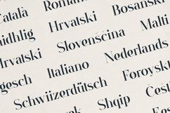 Orivian A Refined Serif Font Product Image 6