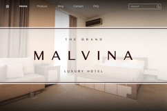 Deloire - Modern &amp; Luxury Sans Product Image 6
