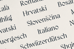 Vellumo Elegant Serif Font Product Image 6