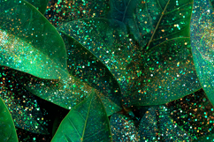 Green leaves covered in glitter sparkles and colorful dots Product Image 1