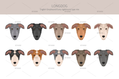 Longdog. Greyhound/Sighthound mix Product Image 5