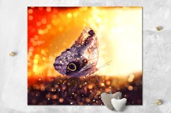 Mystic Butterfly | skinny tumbler Sublimation design bundle Product Image 6