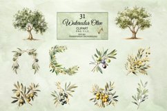 Watercolor Olive Clipart with Transparent Background Product Image 4