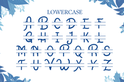 Salju Flower Split Monogram Font Product Image 6