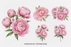 15 Bundle Watercolor Pink Peony Flower Blush Romantic Product Image 6