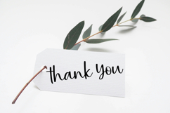 Ladybugs Product Image 6