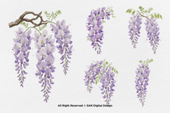 15 Bundle Watercolor Wisteria Flower Romantic Japanese Product Image 6
