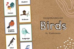 54 Birds Educational Flashcards Product Image 1