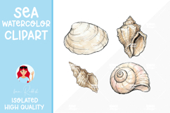 4 Summer Seashells Watercolor Cliparts Product Image 1