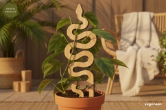 Snake Plant Stake Laser Cut | Glowforge | SVG Product Image 2