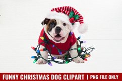 Funny Christmas Dog Watercolor Clipart Bundle PNG Product Image 7