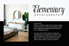 Paradise Loves - Elegant Serif Font Product Image 5
