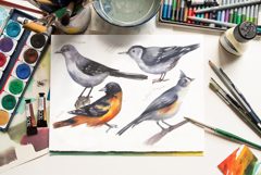 Backyard Birds of North America Product Image 5