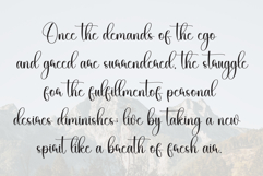 Dandiest Product Image 6