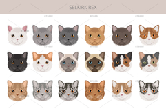 Selkirk Rex Cat Product Image 5