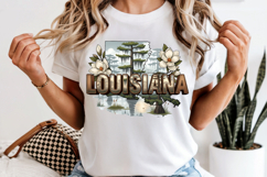 Louisiana PNG, Vintage State Pride Sublimation Design Product Image 6
