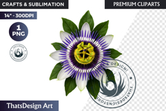 Flower Clipart PNG, Botanical Illustration Floral graphic Product Image 1
