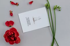 Chihuahua dog sympathy, Pet loss e-card, Dog sympathy card Product Image 8