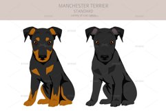 Manchester Terrier Standard clipart Product Image 3