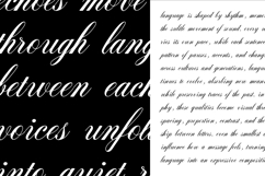 Armonia Aria Elegant Script Font Product Image 6