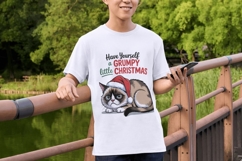 Funny Cat Christmas Sublimation Bundle - 12 Designs Product Image 6