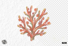 Dreamy Coral Reef Clipart - Summer Clipart Product Image 1