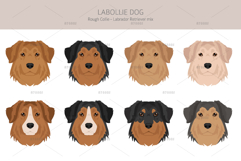 Labollie dog mix Product Image 5