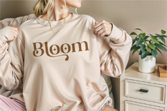 Lonely Hearts A Serif Font with Swashes Product Image 6