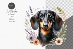 Dog clipart, Puppy dog, Dachshund Product Image 1